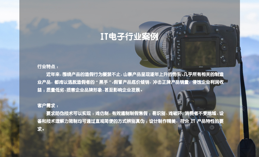 IT電子行業(yè)案例